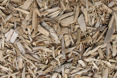 biomass boilers Disserth